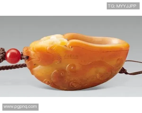 龙杯：传承与荣耀